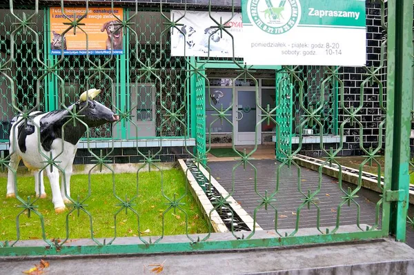 Przychodnia Żbik, zdjęcie 10